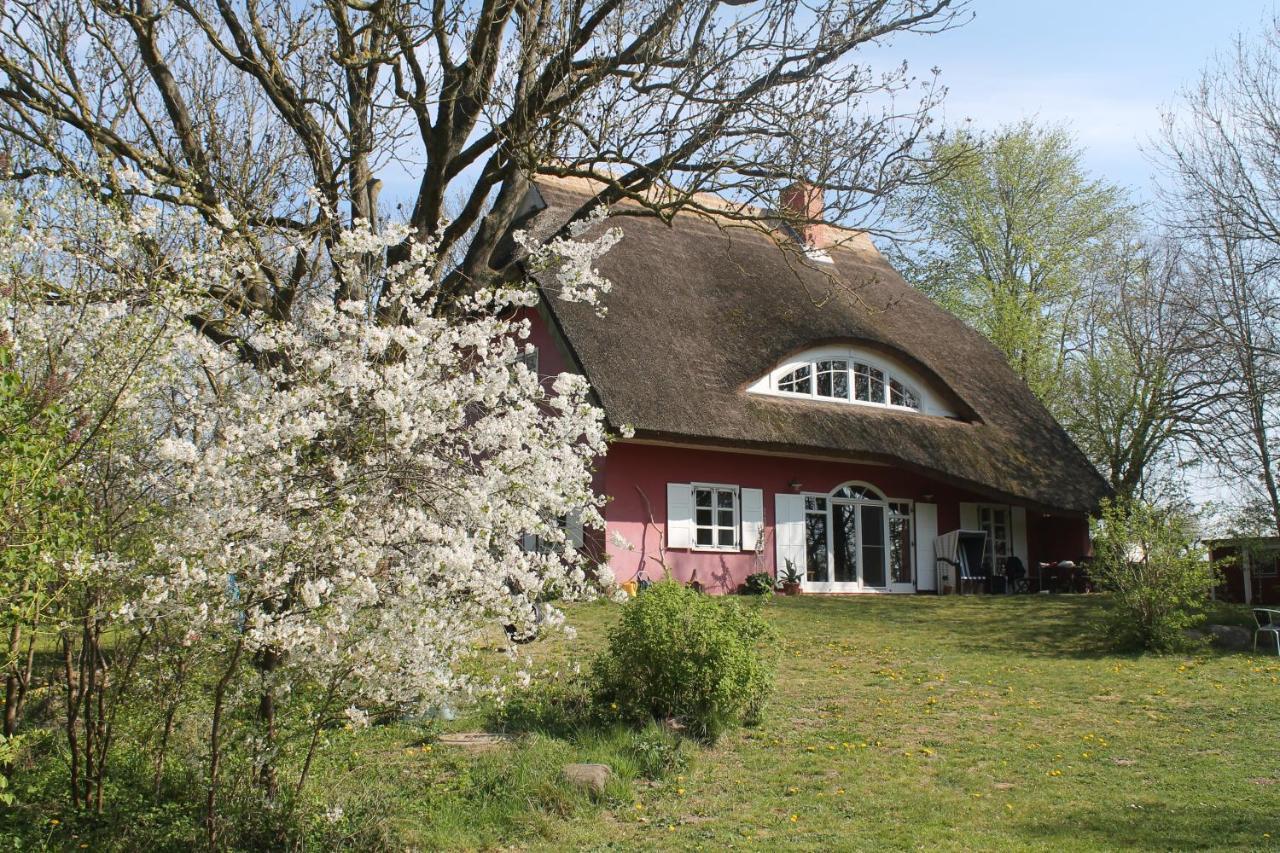 Altes Waschhaus Krakvitz Apartment Putbus Exterior foto